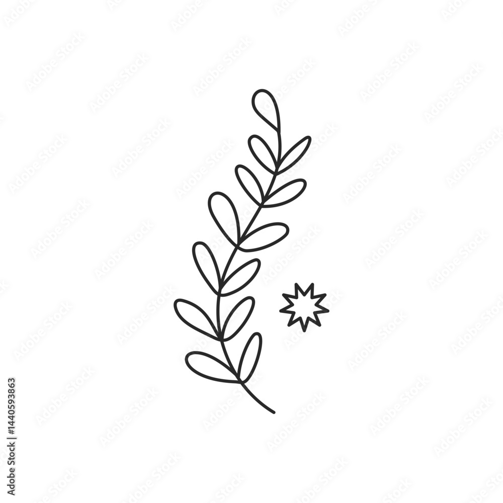 Vector linear boho elements icons and symbols Vector linear boho elements icons and symbols