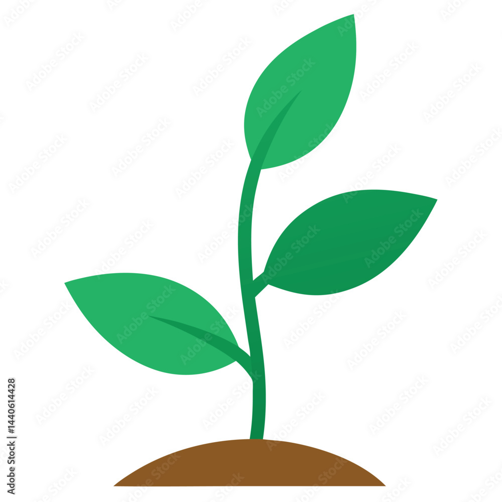 Fototapeta premium Potted Plant