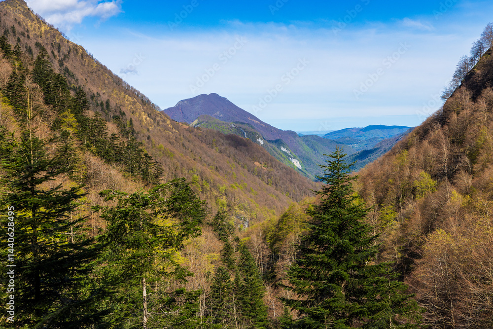 View over the Ars Valley towards Aulus-les-Bains from the Ars Waterfall, in the Pyrenees region of Haut-Couserans, Ariège