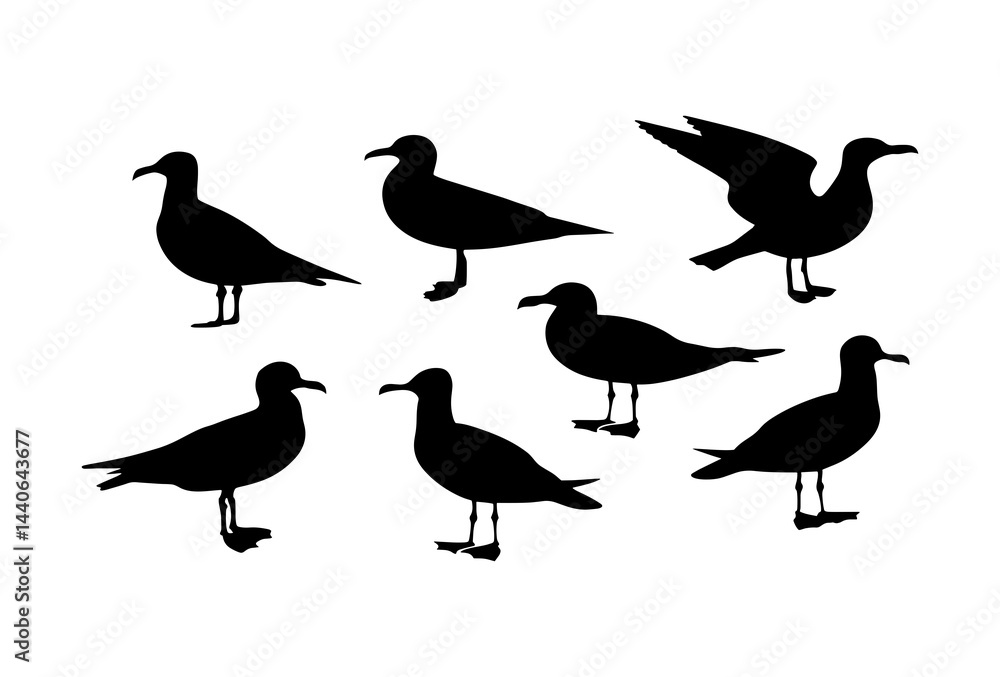 Obraz premium Silhouette depiction of seven seagulls in various poses against a white backdrop