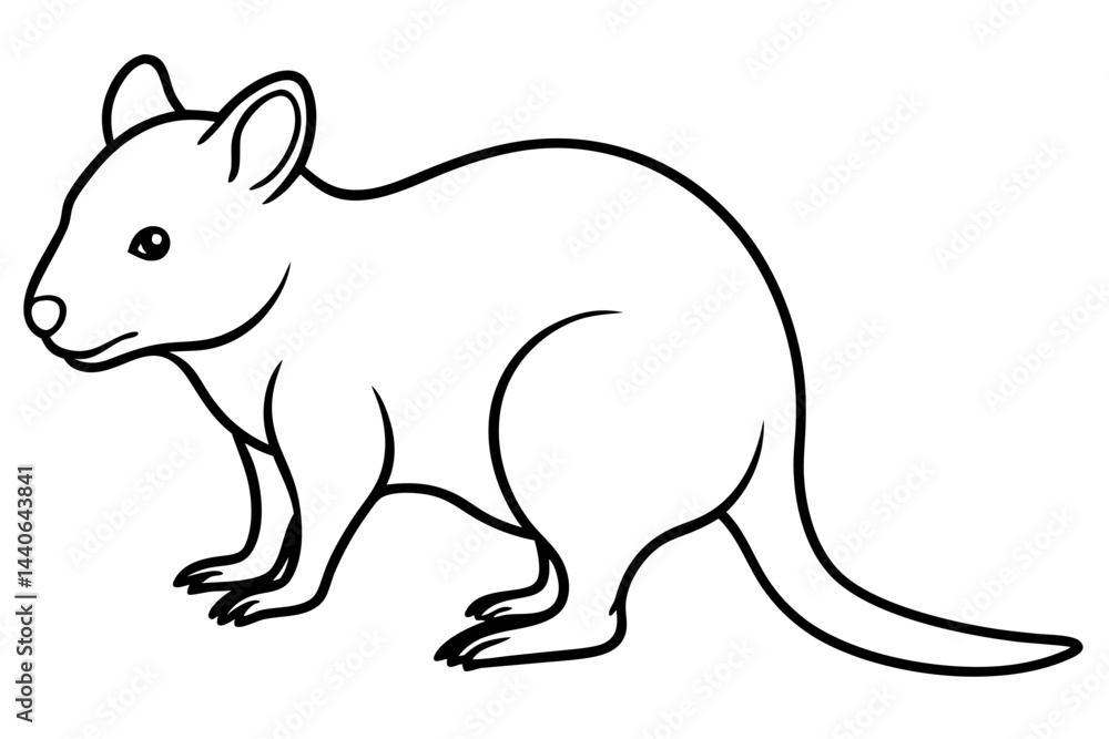 Fototapeta premium Quokka Sketch Vector