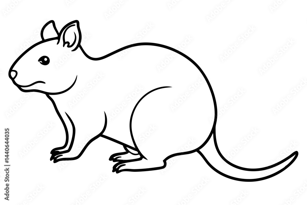 Quokka Sketch Vector Quokka Sketch Vector