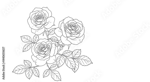 Fototapeta Naklejka Na Ścianę i Meble -  Rose Line Art Drawing of Floral Bouquet with Leaves