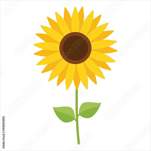 sunflower vector illustration