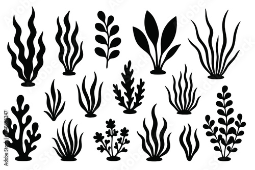 Multiple varieties of stylized aquatic plants featured in black silhouette design suitable for artistic projects
