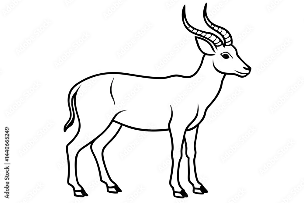 Stylized Markhor Sketch Stylized Markhor Sketch