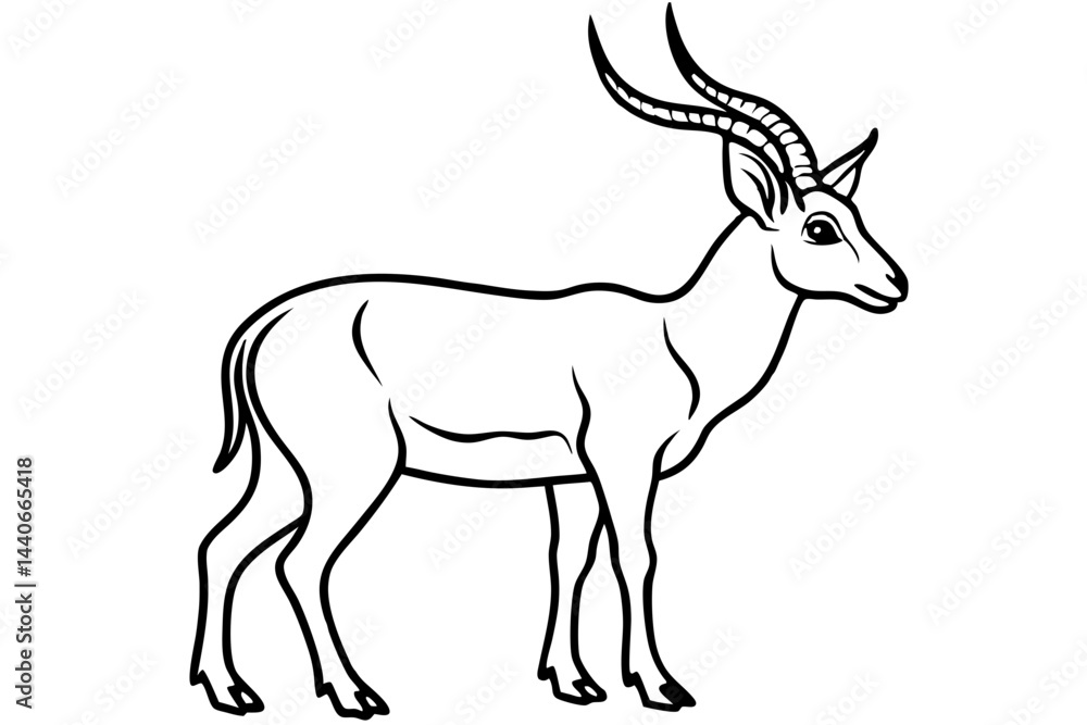 Fototapeta premium Stylized Markhor Sketch