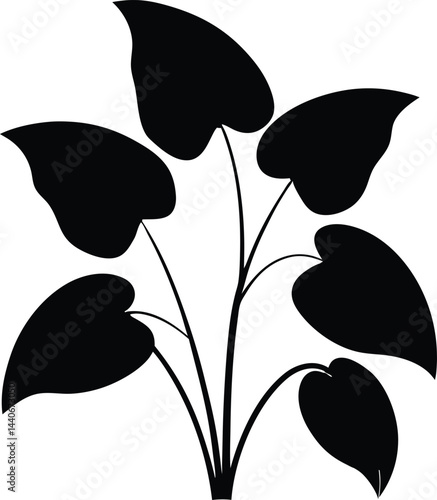 silhouette of taro leaves