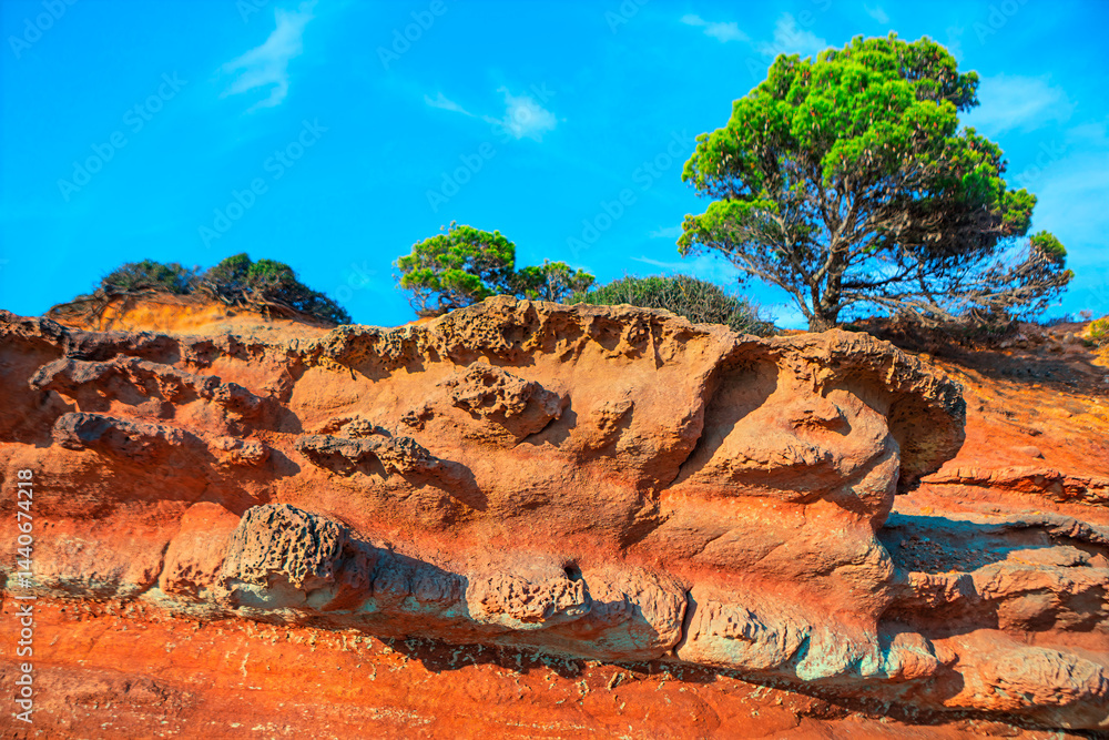 Rugged red sandstone cliff with eroded formations rises under blue sky, dotted with wispy clouds. Sparse green pine trees and shrubs grow atop cliff, adding contrast to earthy tones of landscape