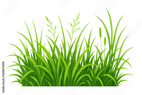 Vibrant green grass growing in a natural area with a variety of tall blades under bright lighting conditions