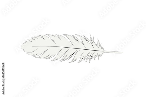 Decorative white feather resting on a plain background, showcasing detailed texture and natural beauty