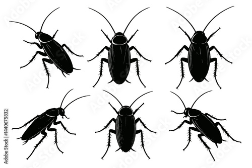 Collection of various cockroach silhouettes in black on a white background showcasing intricate details of their anatomy