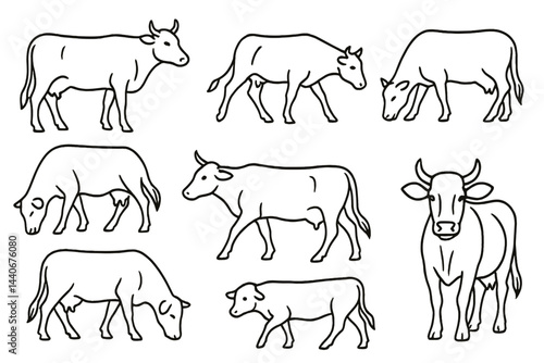Various sketches of cows in different poses and actions on a white background illustrating farm animals
