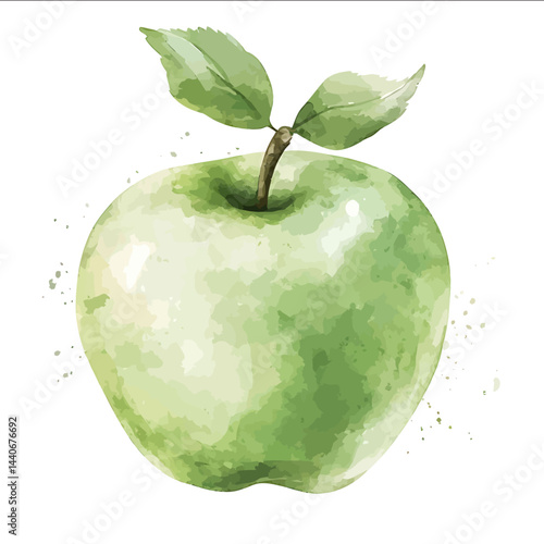 Apple green simple drawing soft colors vector file on white background minimalistic watercolor style illustration