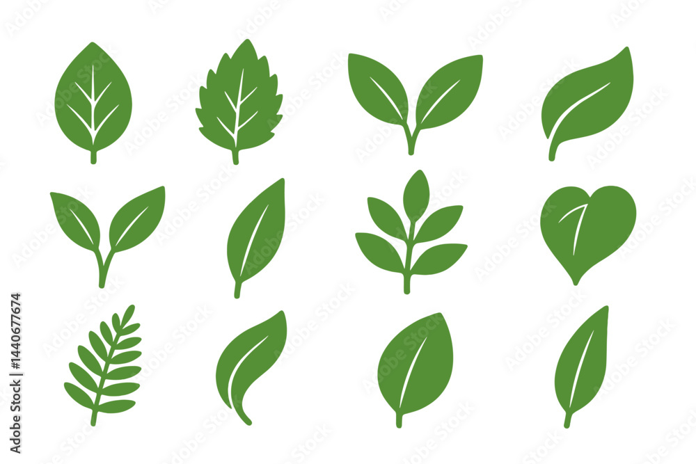 Naklejka premium Variety of green leaves showcasing different shapes and sizes ideal for botanical designs and nature illustrations
