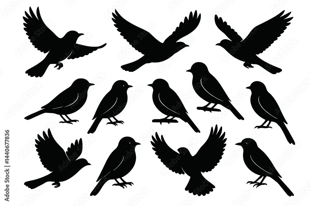 Obraz premium Collection of silhouetted birds in various flying and resting positions against a plain background