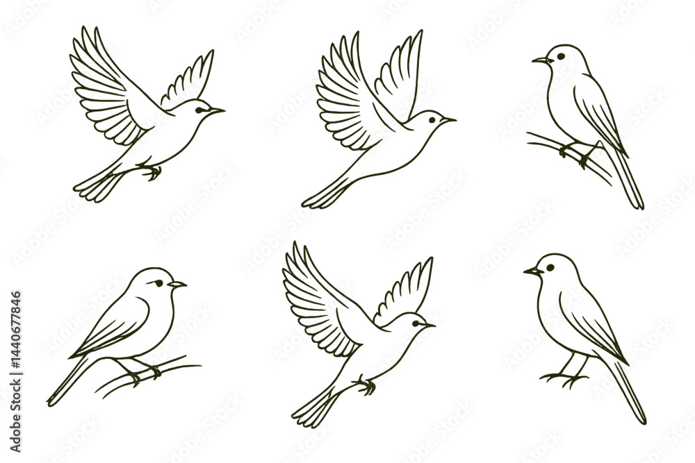 Fototapeta premium Bird illustrations showcasing different poses and actions in a minimalist style on a white background