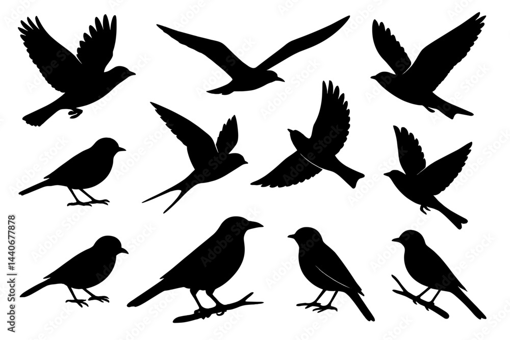 Fototapeta premium Various silhouettes of birds in flight and resting positions against a white background