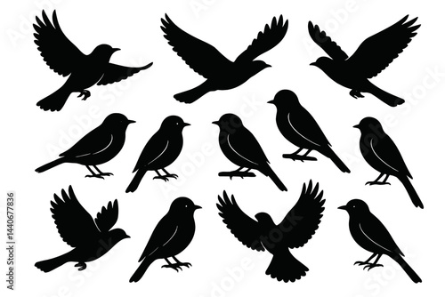Collection of silhouetted birds in various flying and resting positions against a plain background
