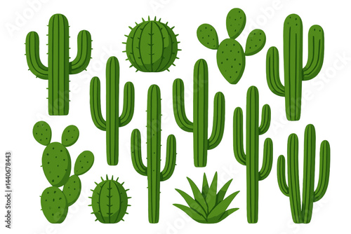 Colorful collection of various cacti and succulents arranged in diverse shapes and sizes in a simple artistic display