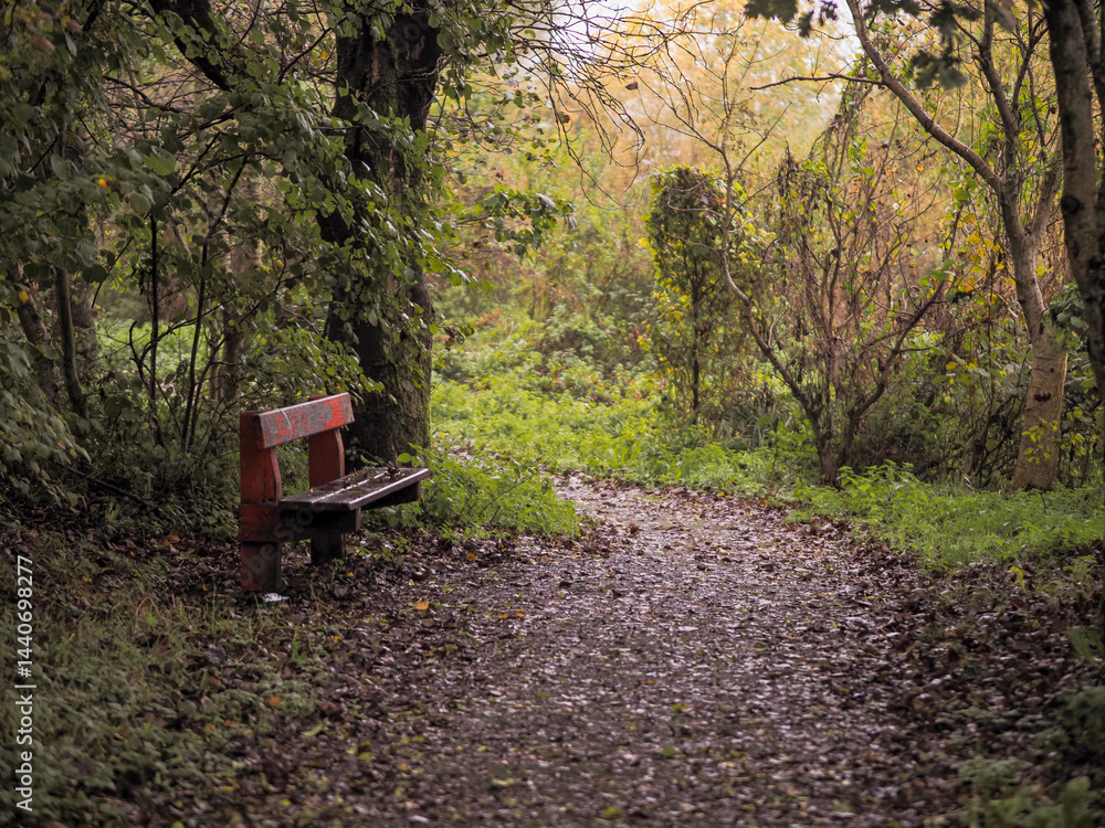 Old worn out wooden bench in red color in a forest park by a footpath. Selective focus. Nobody. Sitting area to enjoy colors and sounds of nature.