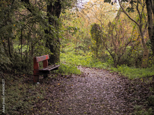 Obraz na płótnie Old worn out wooden bench in red color in a forest park by a footpath. Selective focus. Nobody. Sitting area to enjoy colors and sounds of nature. w salonie