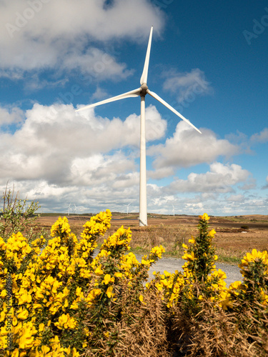 A field of wind turbines with a clear blue cloudy sky in the background. The windmills are tall and spread out across the field. Production of clean green energy. Warm sunny day. Nobody.