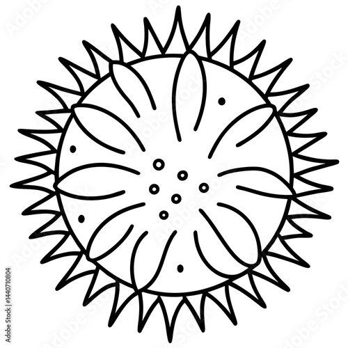 Minimalist Sea Urchin Line Art Vector