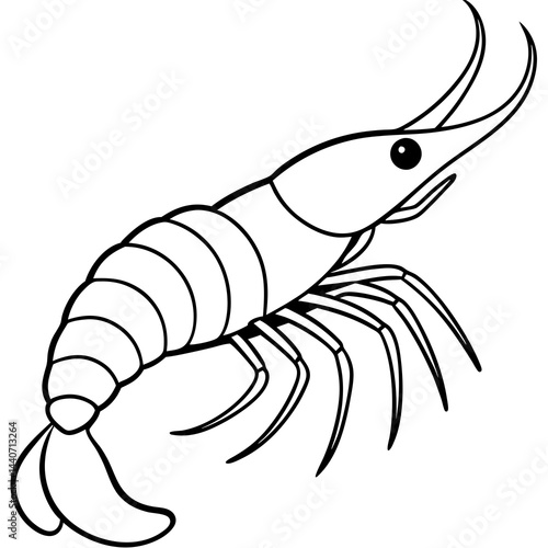 Minimalist Shrimp Line Art Vector