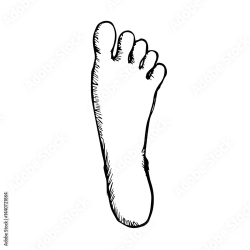 Foot illustration in black and white, for podiatry concepts, with copy space