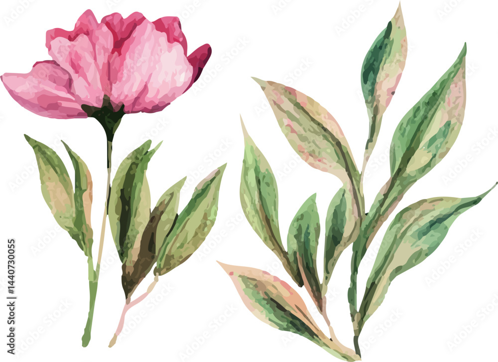 hand drawn flowers hand drawn flowers