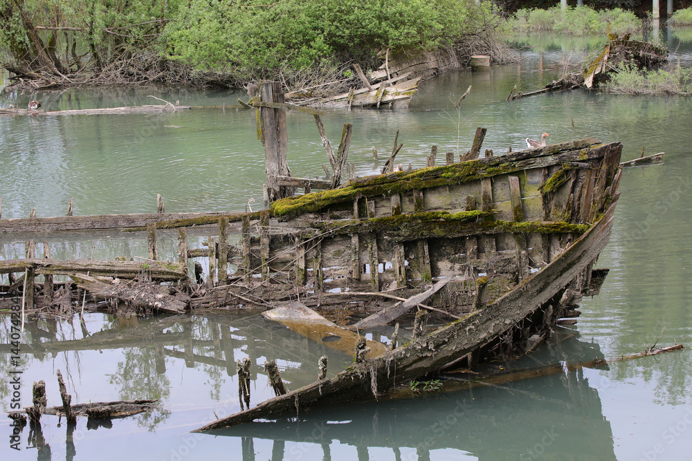 sunken old ship called BURCIO or BURCHIO in italian in the BURCI CEMETERY a suggestive place in the bend of the river SILE in Italy with wrecks of old boats used for the transport of Good