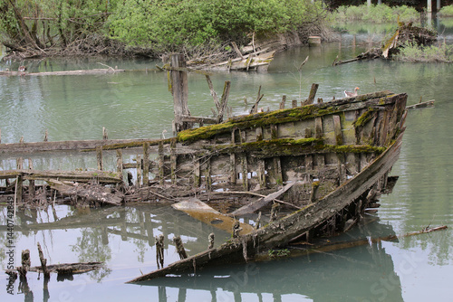 Obraz na płótnie sunken old ship called BURCIO or BURCHIO in italian in the BURCI CEMETERY a suggestive place in the bend of the river SILE in Italy with wrecks of old boats used for the transport of Good w salonie