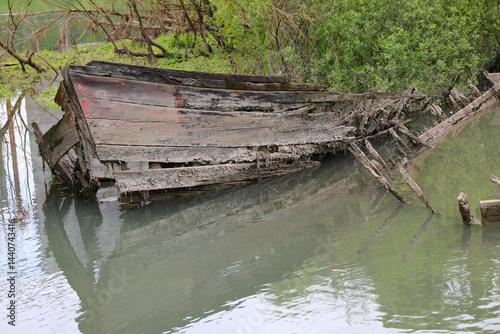 Bow of th sunken old ship called BURCIO or BURCHIO in italian language in the BURCI CEMETERY  a suggestive place in the bend of the river SILE in Northern Italy with wrecks of old sunken wooden boats