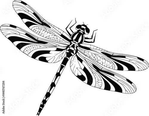 Bold Black And White Dragonfly Hovering. Vector Illustration Isolated On White