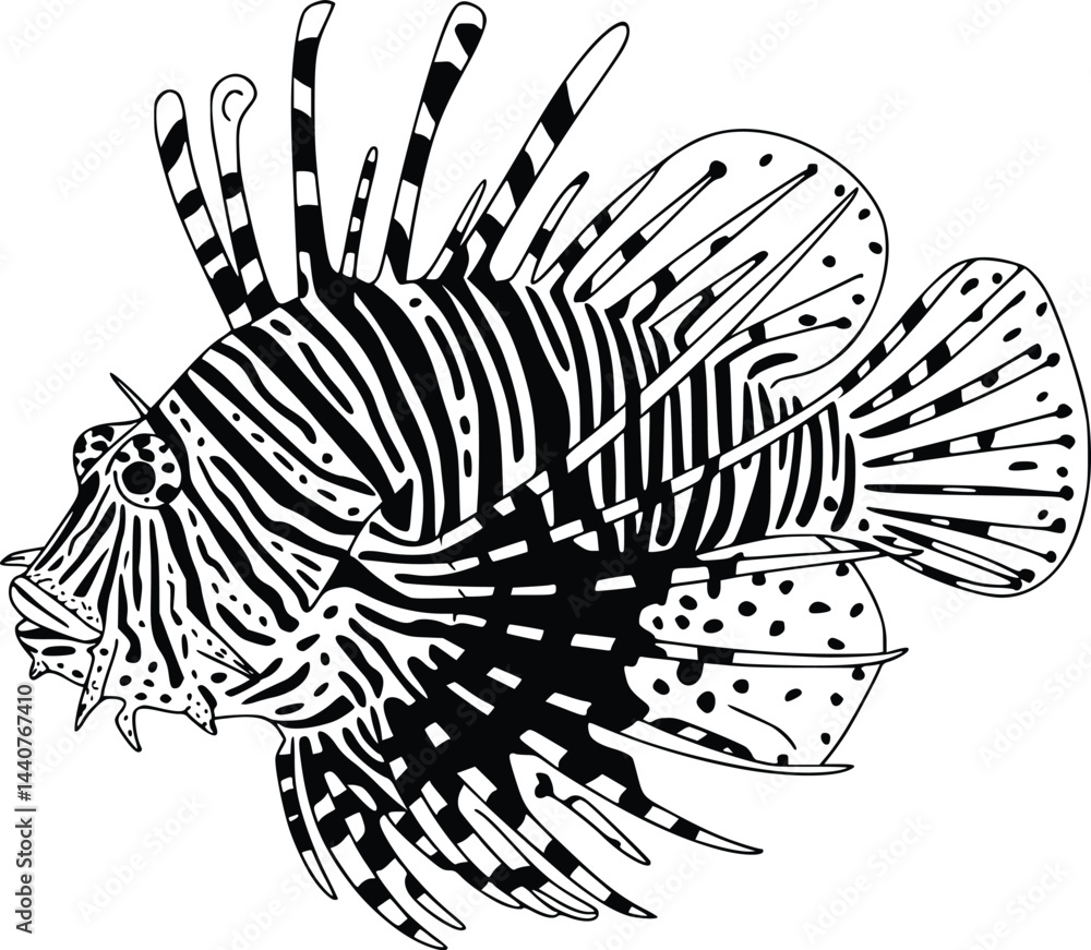 Bold Black And White Lionfish Spines Spread. Vector Illustration Isolated On White Bold Black And White Lionfish Spines Spread. Vector Illustration Isolated On White