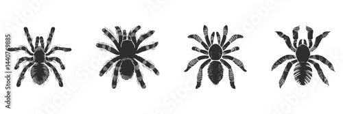 Tarantula Spider Silhouette Set. Arachnid Diversity And Identification Isolated Vector Illustration Collection