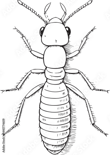 Termite, Pest, Extermination, Black and White Vector Illustration, Sketch Drawing Line Linear Symbol Icon Engraving, Hand-drawn Isolated