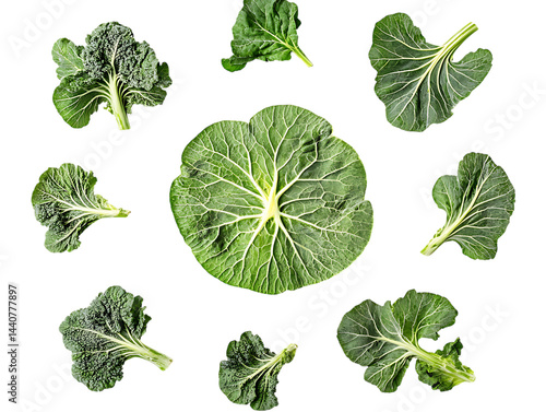  Kohlrabi Leaves Vegetables Close Up View