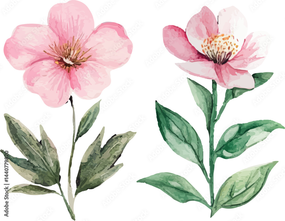 Obraz premium set of pink flowers