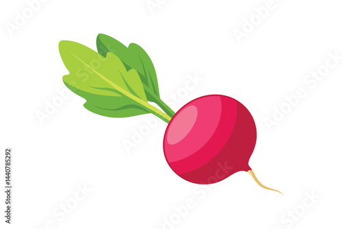 radish isolated on white background