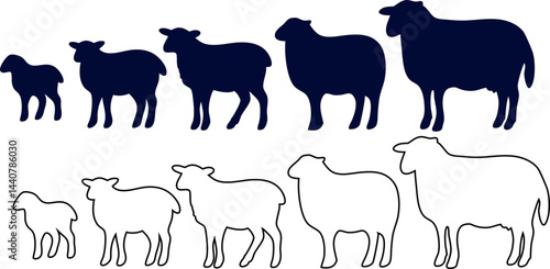 Sheep silhouette and outline vector set. Collection of isolated sheep graphics on a white background for farm logos, designs, and creative projects. Lamb, Suckling, Hogget, Yearling, Ewe
