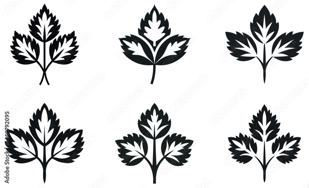 Elegant Black and White Leaf Design Set Elegant Black and White Leaf Design Set