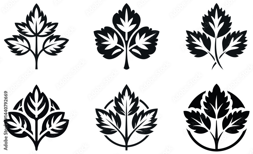 Elegant Black and White Leaf Design Set Elegant Black and White Leaf Design Set