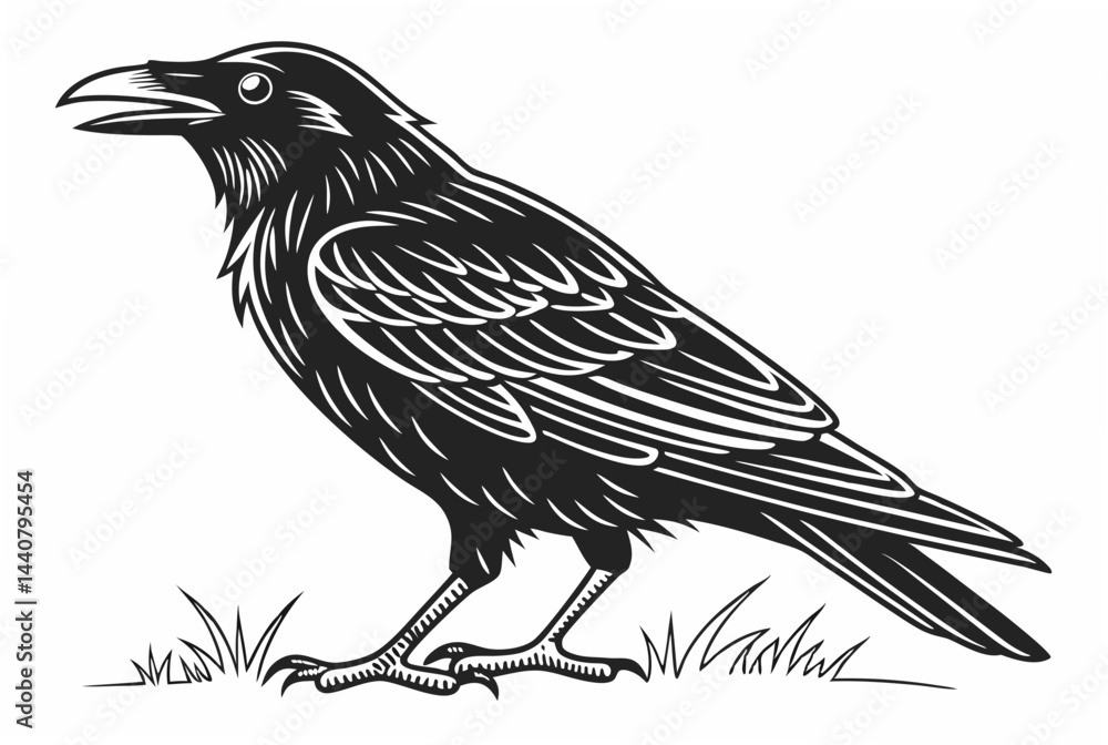 Fototapeta premium crow on a white background