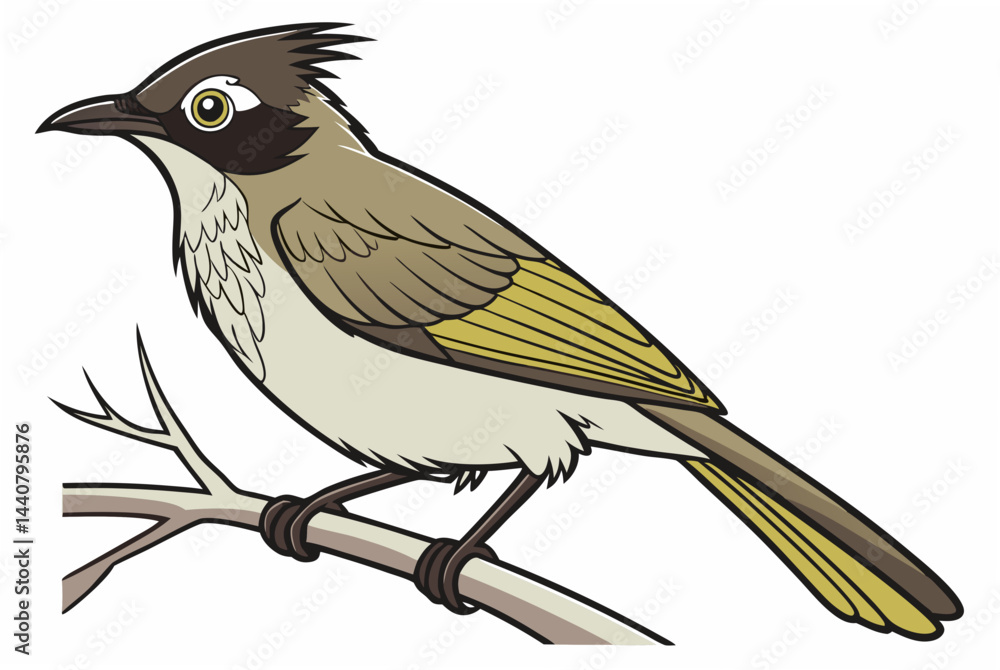 Fototapeta premium bird on a branch