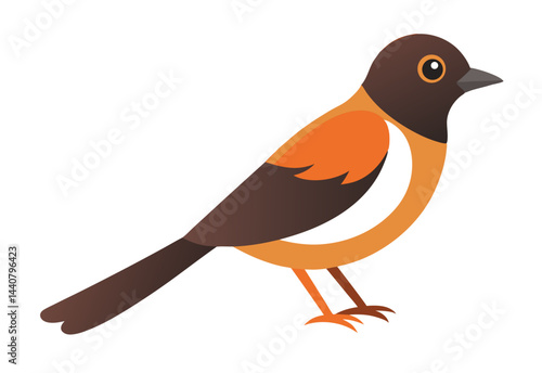 robin on a branch