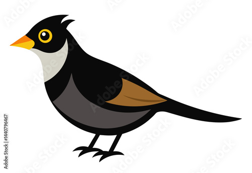 bird on a branch