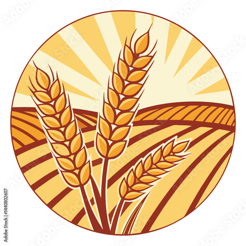 Golden ripe wheat ears, a vector illustration of the grain harvest