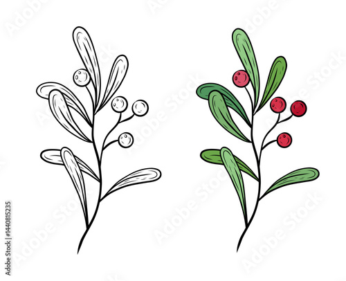 Vector twig with leaves and red berries. Hand drawn illustration of cranberry, viburnum. Christmas botanical illustration, graphic. Black and white and color drawing. Design and decoration